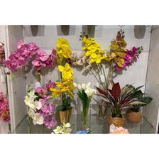 BOUQUET D/TULIPAN ART. 5PC 34C - 456-471962