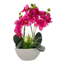 ORCHID IN CERAMIC POT - 456-472128