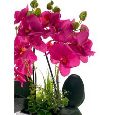 ORCHID IN CERAMIC POT - 456-472128