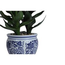 PLANTA CON POTE - 456-472292