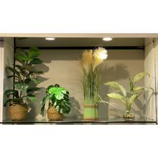 PLANTA C/POTE - 456-503153