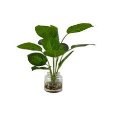 PLANTA C/POTE - 456-503157