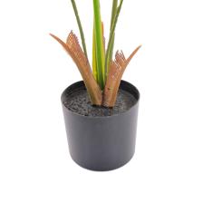 CARYOTA C/POTE 50X65X90CM - 456-503547