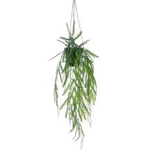 PLANTA SUSPENSA 25X25X58CM - 456-503553