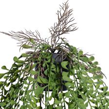 PLANTA SUSPENSA - 456-503554