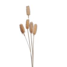 ESPIGAS 12X60CM - 456-503582