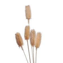 ESPIGAS 12X60CM - 456-503582