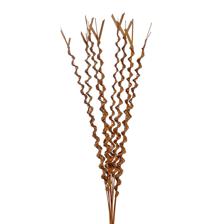 grass - 456-503598