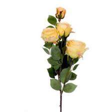 FLOR ROSA AMARELA - 456-512256