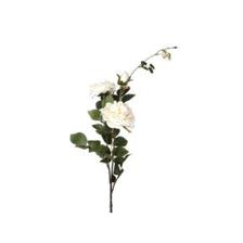 PEONIA ART. 89 CM - 456-512264