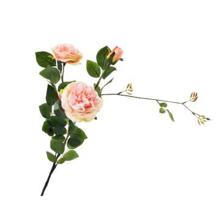 FLOR DE PEÔNIA ROSA MAMEY - 456-512267