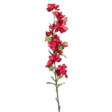 FLOR DE PERA VERMELHA - 456-512277