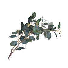 EUCALIPTO ART. 113 CM - 456-512289