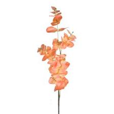EUCALIPTO ART. 88 CM - 456-512576