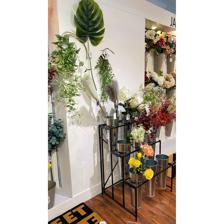 ARTE DA PLANTA. 99 CM - 456-512680