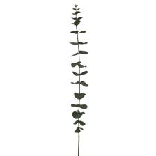 EUCALIPTO 92CM - 456-512962