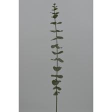 EUCALIPTO 92CM - 456-512962