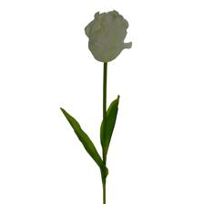 77CM PARROT TULIP1 - 456-512979