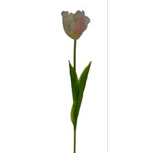 TULIP DECOR 15X13X77CM - 456-512981