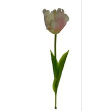 TULIP DECOR 15X13X77CM - 456-512981