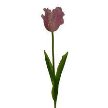 TULIP DECOR 15X13X77CM - 456-512985
