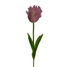 TULIP DECOR 15X13X77CM - 456-512985