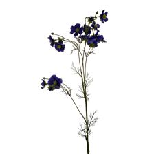 96CM FIVE START COSMOS X15 - 456-513001