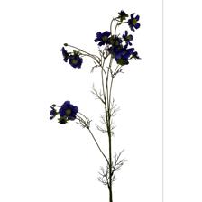 96CM FIVE START COSMOS X15 - 456-513001