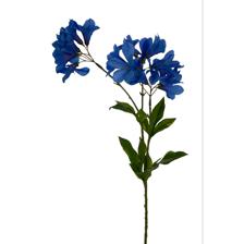 70CM GLORYX3 - 456-513017