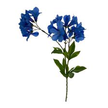 70CM GLORYX3 - 456-513017