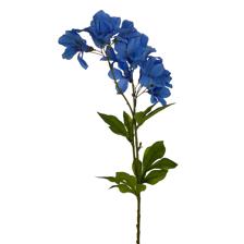 70CM GLORYX3 - 456-513019