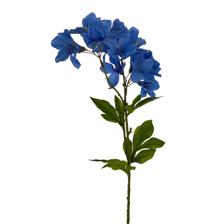 70CM GLORYX3 - 456-513019