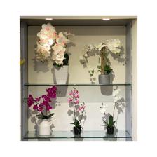 ORQUIDEA13X15X53CM - 456-513111