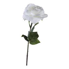 ROSA 8X10X61CM - 456-513137