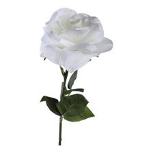 ROSA 8X10X61CM - 456-513137
