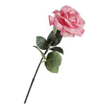 ROSA 8X10X61CM - 456-513155