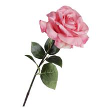 ROSA 8X10X61CM - 456-513155