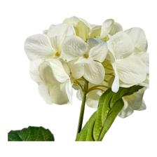 DECORAÇÃO DE HORTÊNSIA - 456-513168