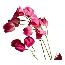 DECORAÇÃO DE LANTERNA DE FLORES - 456-513267