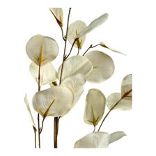 DECORAÇÃO DE EUCALIPTO - 456-513275