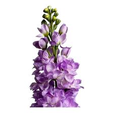 80CM STOCK X23 - 456-513305