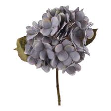 67CM HYDRANGEAX1 - 456-513339