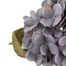 67CM HYDRANGEAX1 - 456-513339