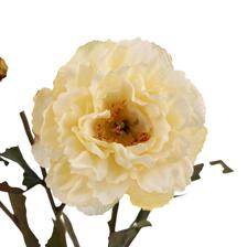 53CM PEONY X3 - 456-513385
