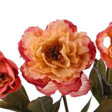 53CM PEONY X3 - 456-513386