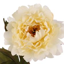 68CM PEONY X2 - 456-513388