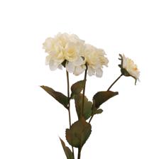 DECORAÇÃO DE DRAMA DE ZÍNIA - 456-513395