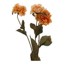 ZINNIA RAMA DECOR - 456-513397