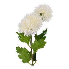 CHRYSANTHEMUS RAMA DECOR 8X10X - 456-513408