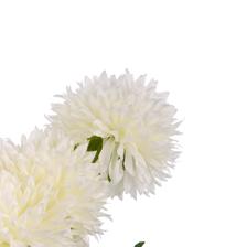 CHRYSANTHEMUS RAMA DECOR 8X10X - 456-513408